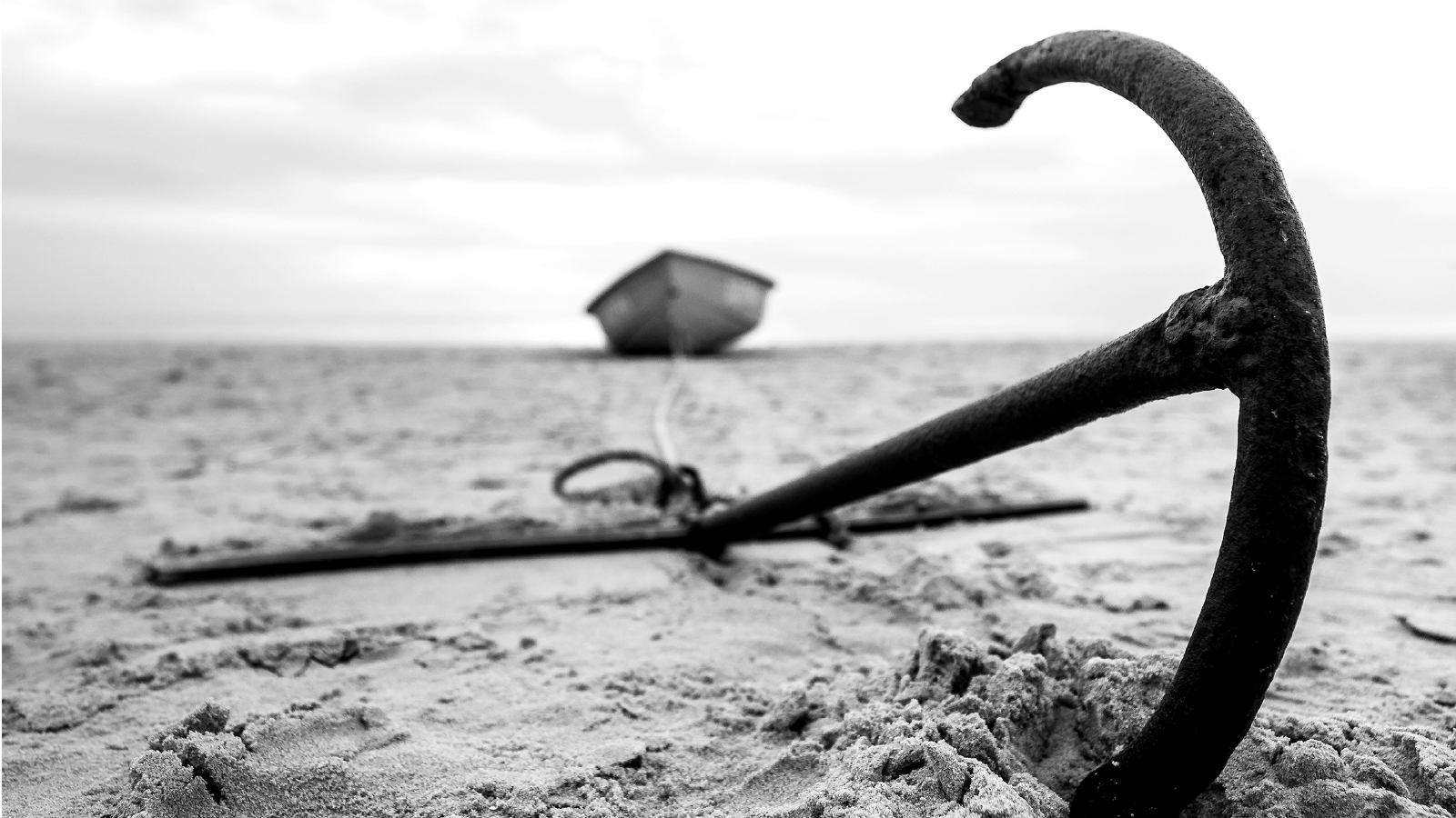 Anchors for your audience