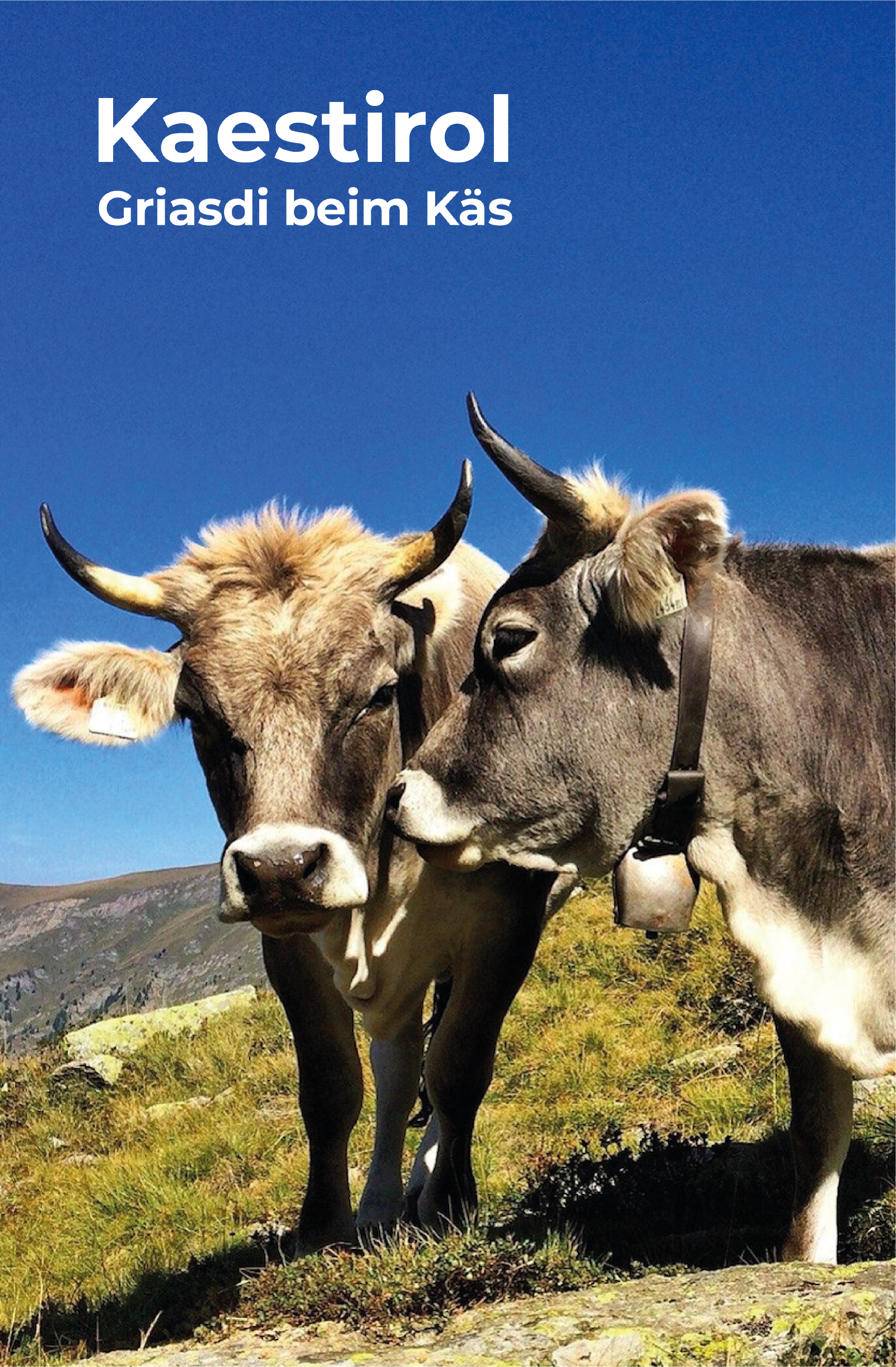 Kühe und Käse